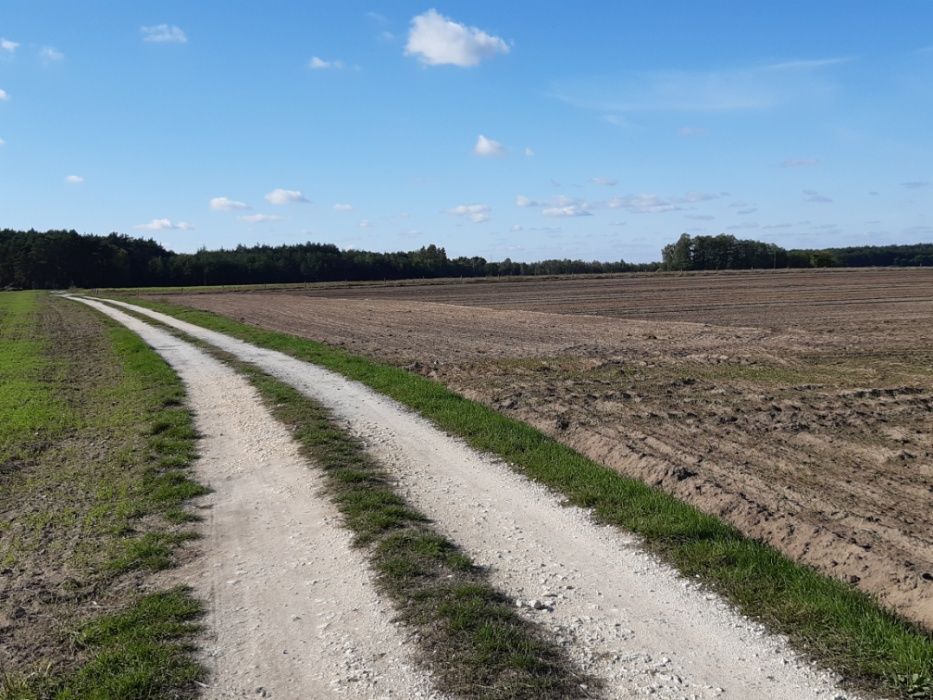 Działka budowlana Osowa. Zdjęcie 6