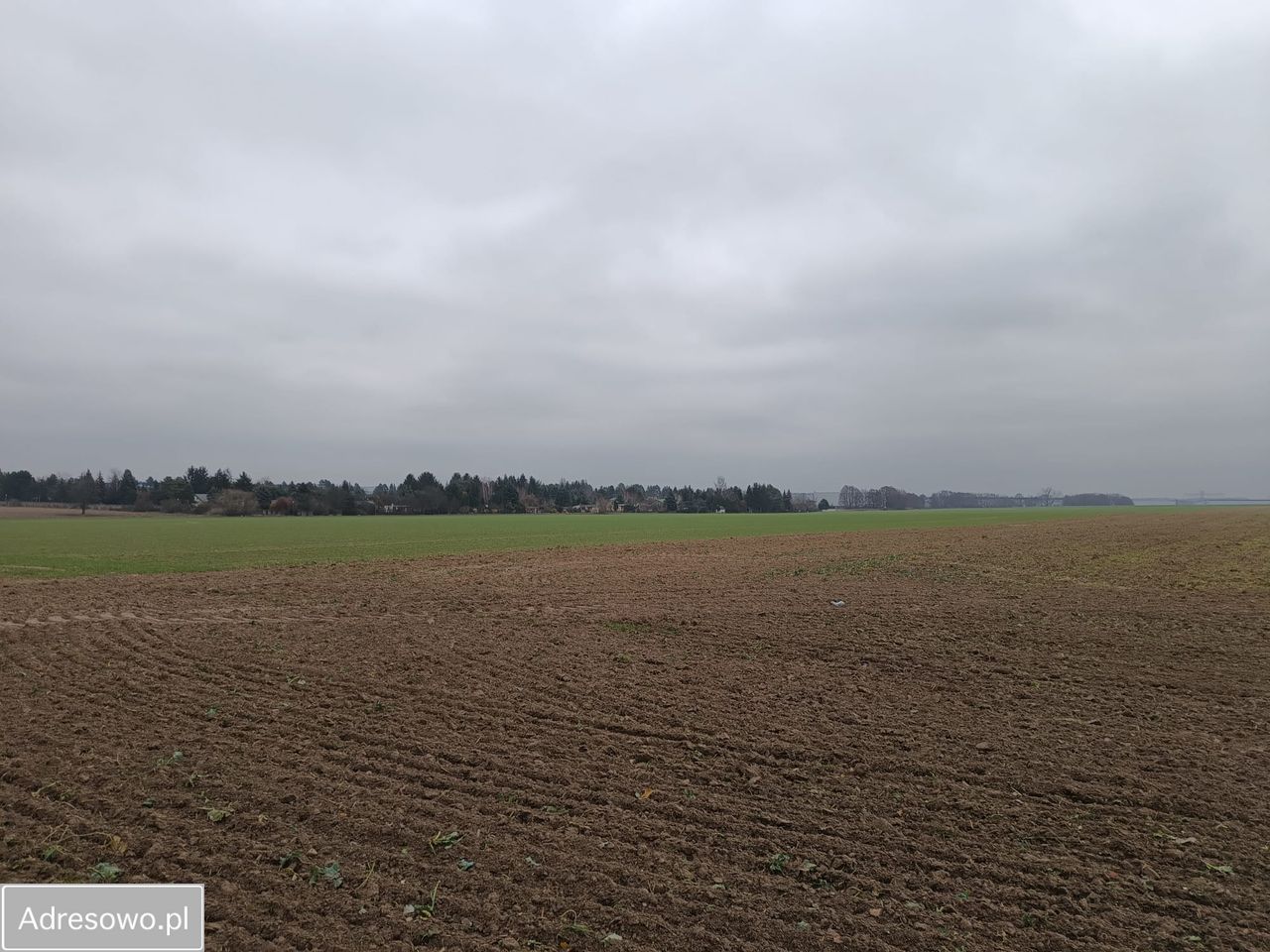 Działka rod Koninko. Zdjęcie 9