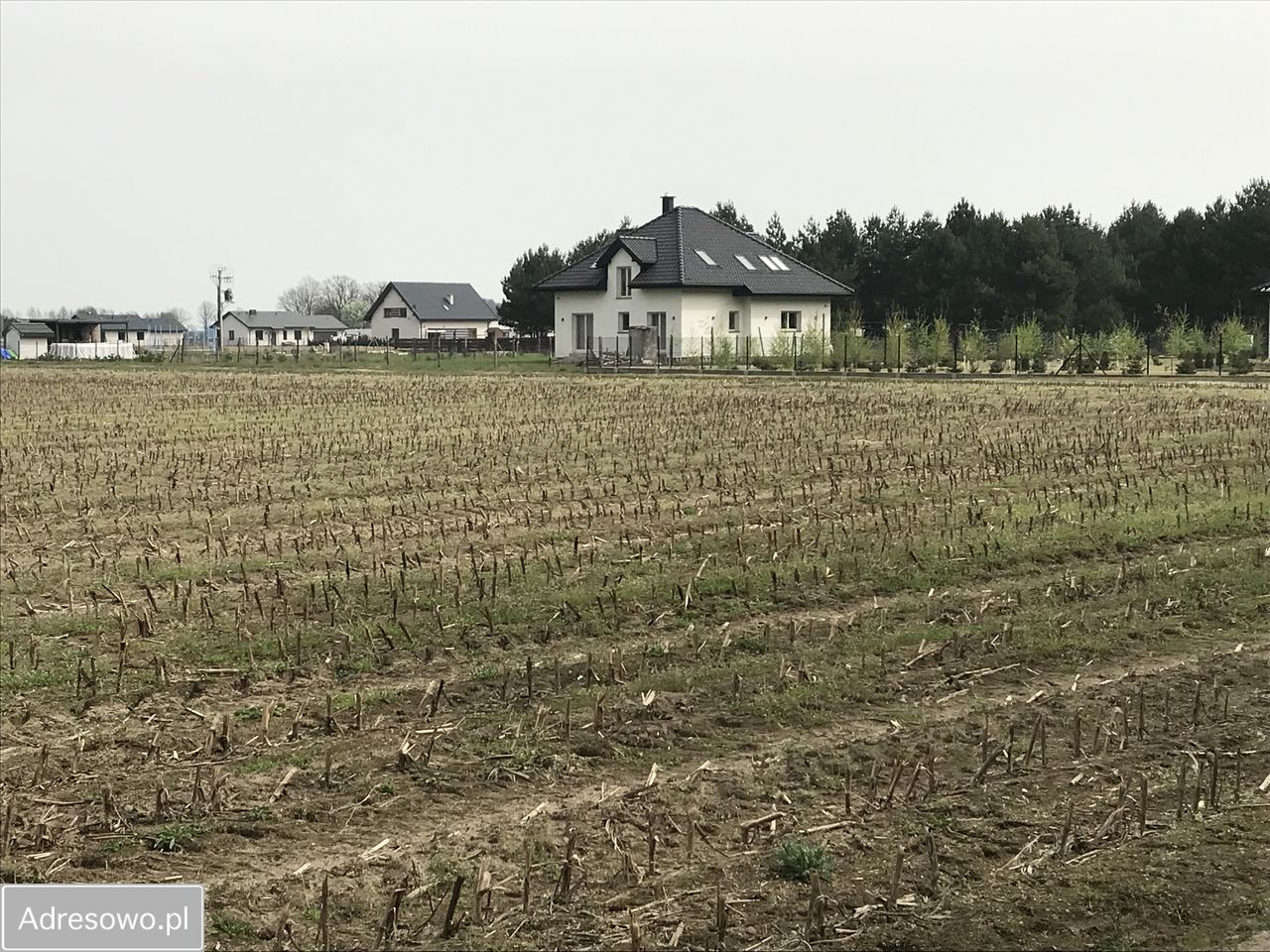 Działka budowlana Liszkowice. Zdjęcie 9