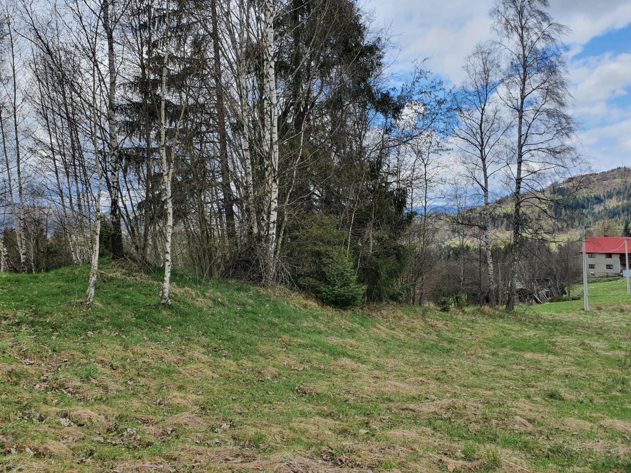 Działka rolno-budowlana Glinka Worniczki. Zdjęcie 3