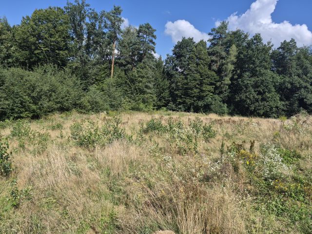 Działka budowlana Kipszna. Zdjęcie 4