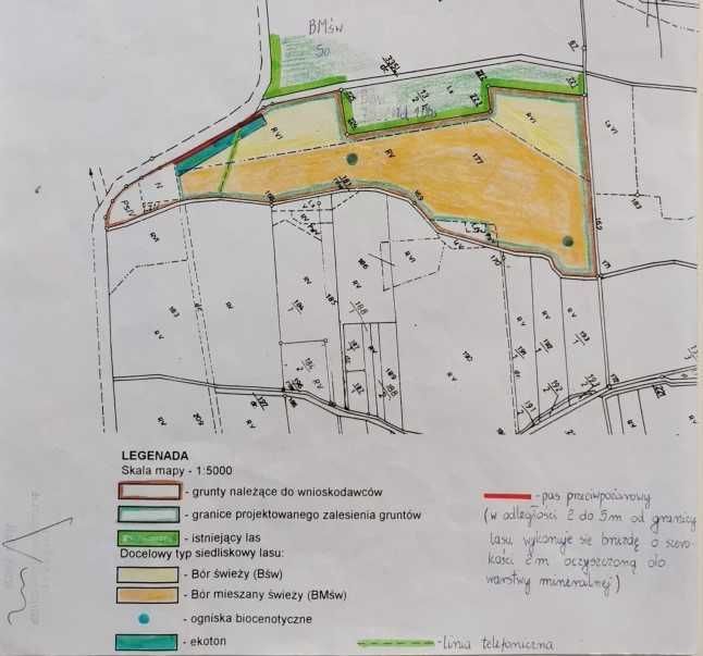 Działka leśna Zielona Góra Jarogniewice. Zdjęcie 5