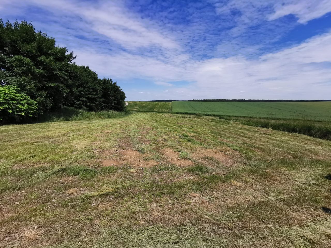 Działka budowlana Nowa Góra, ul. Trakt Olkuski