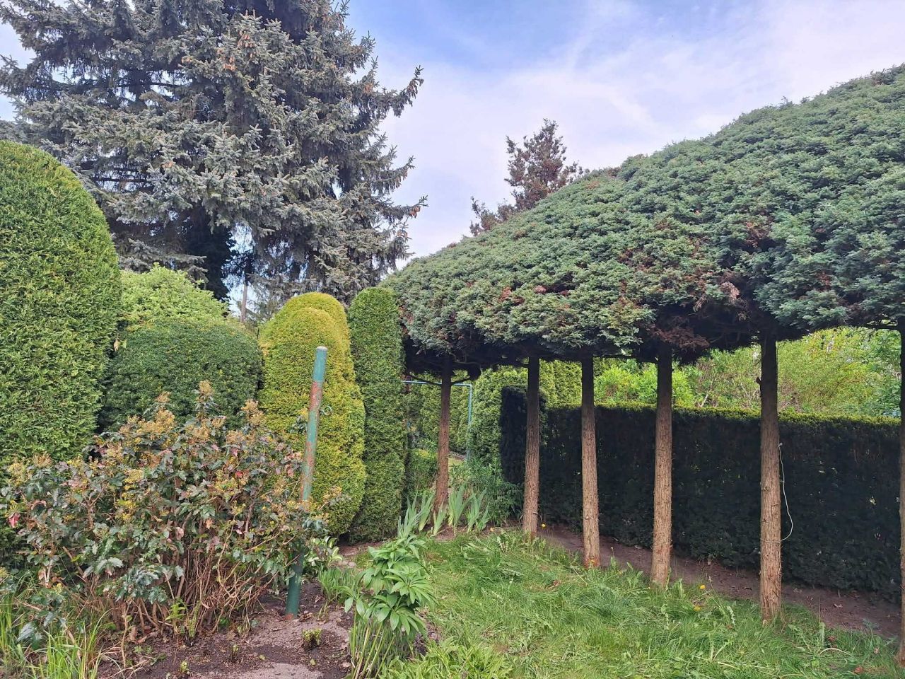 Działka rod Łódź Widzew, ul. Pomorska. Zdjęcie 2