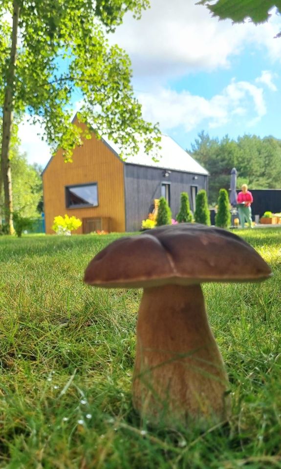 dom wolnostojący Kornelin. Zdjęcie 6