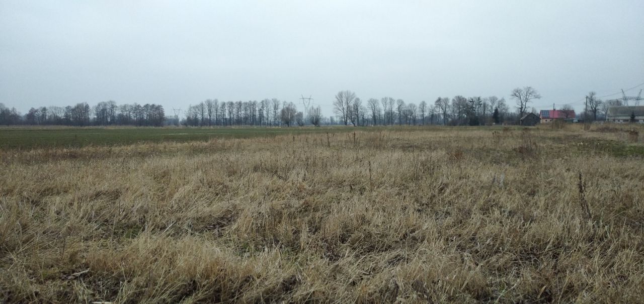 Działka rolno-budowlana Błotnik, ul. Żuławska. Zdjęcie 6