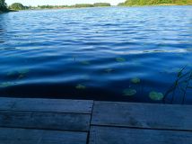 Działka siedliskowa Gaj. Zdjęcie 1