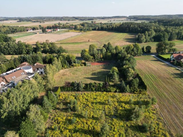 Działka budowlana Borchówka. Zdjęcie 1