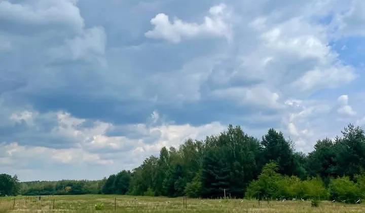 Działka budowlana Owczarnia