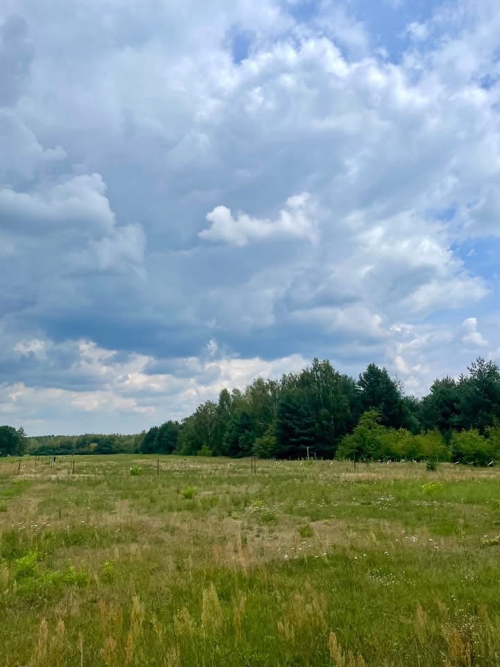 Działka budowlana Owczarnia. Zdjęcie 1