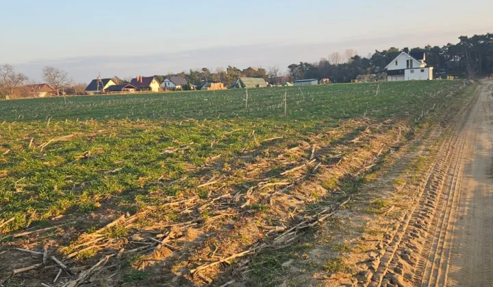 Działka rekreacyjna Wieleń