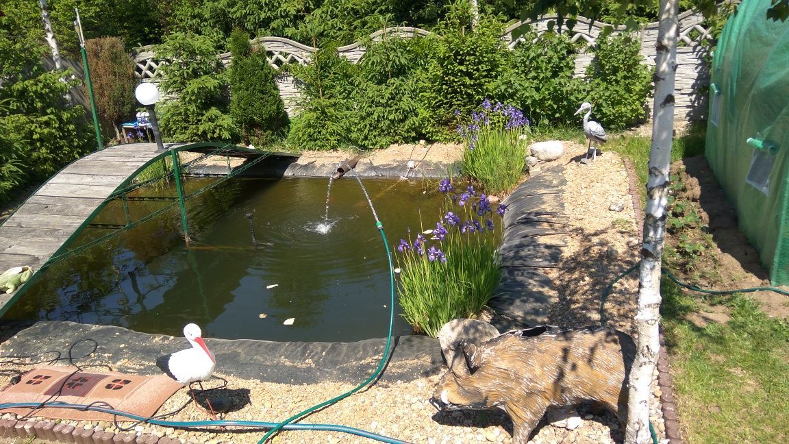 dom wolnostojący Siemirowice. Zdjęcie 8