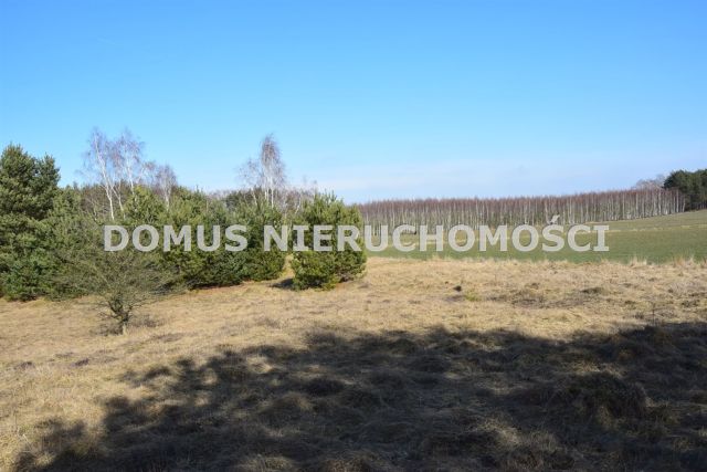 Działka Tworzyjanki. Zdjęcie 3