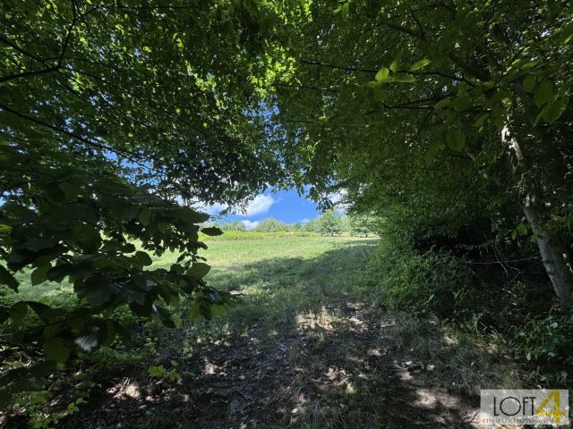 Działka budowlana Paleśnica. Zdjęcie 2