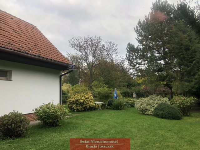 bliźniak Święta Katarzyna. Zdjęcie 7