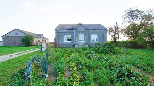 gospodarstwo Zbójno. Zdjęcie 1