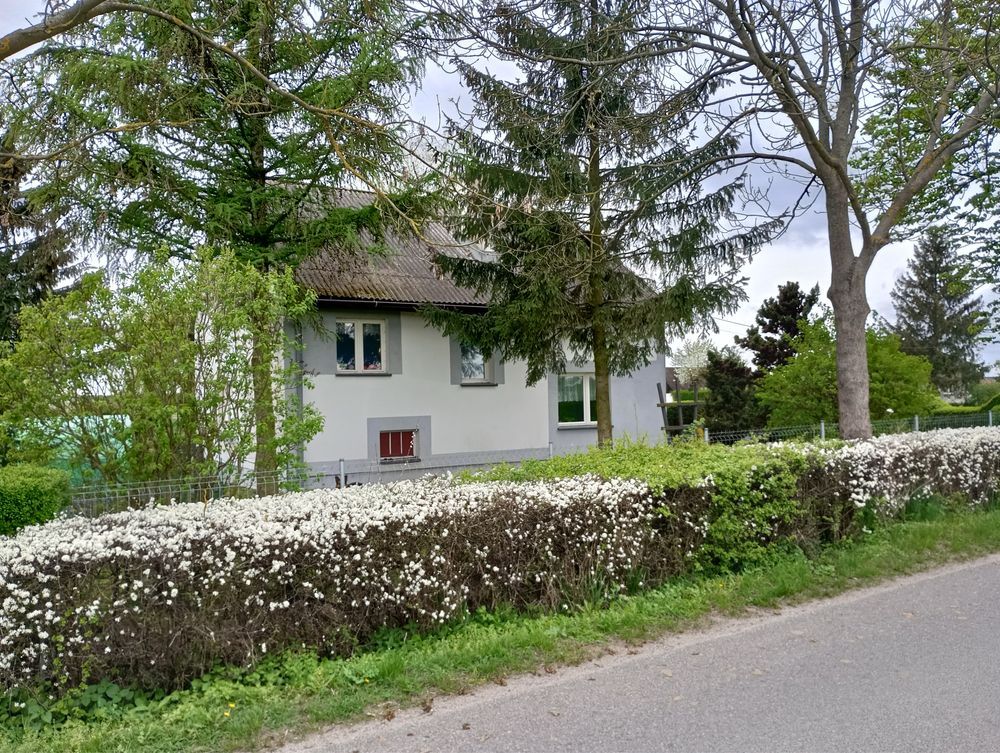 dom wolnostojący Pruska Łąka. Zdjęcie 2