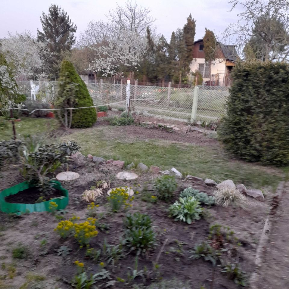 Działka rod Szczecin Golęcino, ul. Hoża. Zdjęcie 6