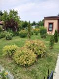Działka rod Włocławek Rybnica. Zdjęcie 2