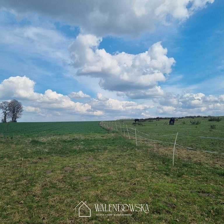 Działka siedliskowa Łabiszewo. Zdjęcie 5