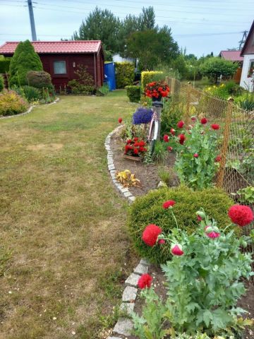 Działka rod Kamień Pomorski. Zdjęcie 1