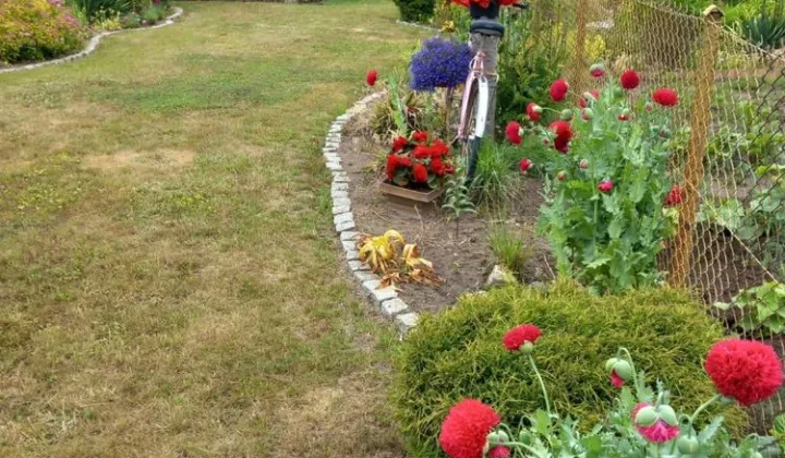 Działka rod Kamień Pomorski