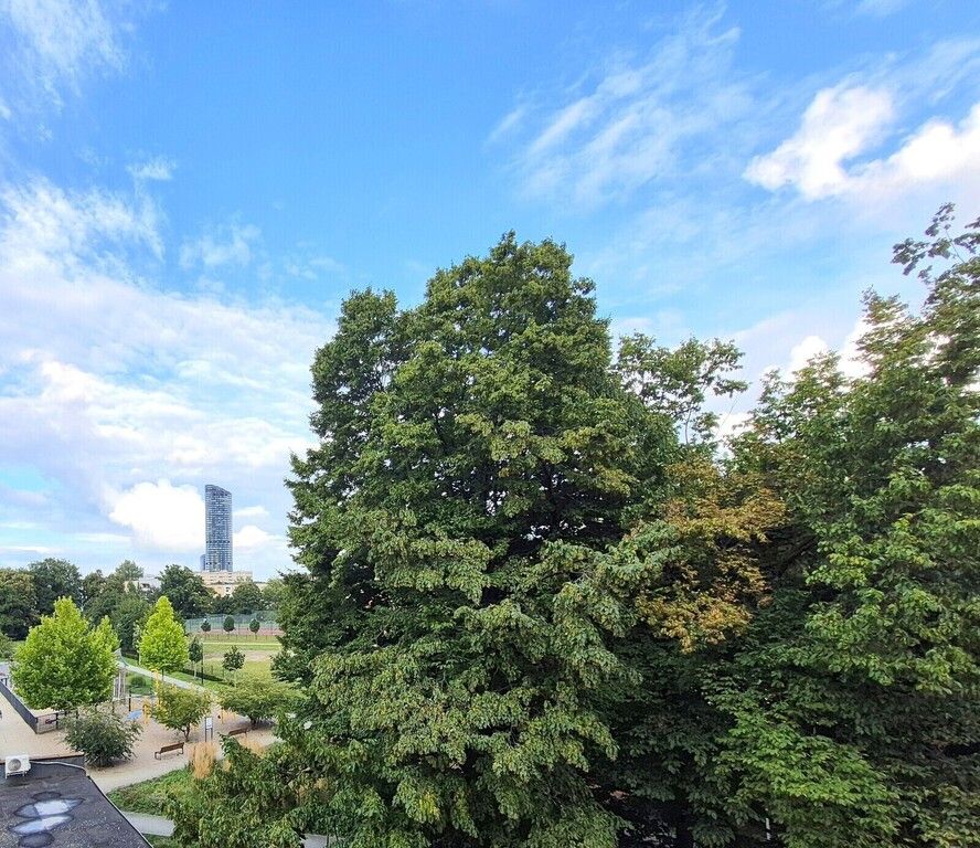 Mieszkanie 1-pokojowe Wrocław Grabiszyn, ul. Kwaśna. Zdjęcie 2