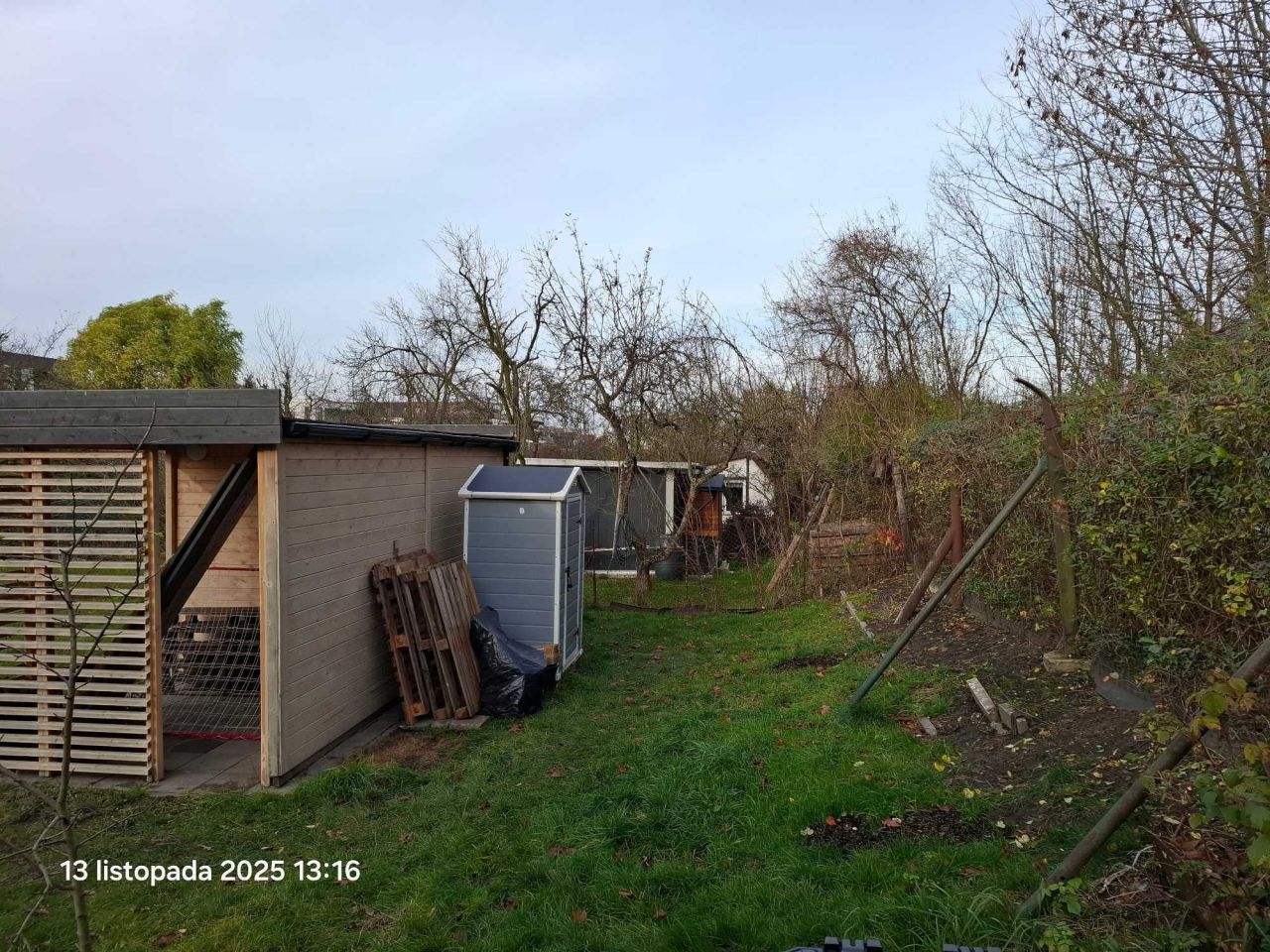 Działka rod Gliwice Trynek, ul. Toruńska. Zdjęcie 6