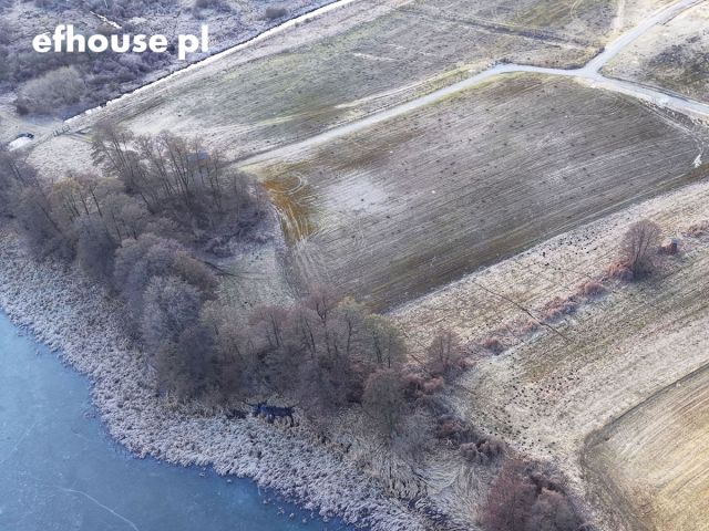 Działka budowlana Oćwieka. Zdjęcie 5