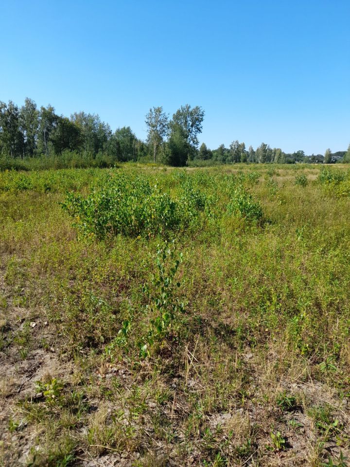 Działka budowlana Kołaków. Zdjęcie 6