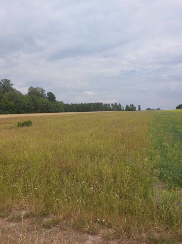 Działka rolna Duchów. Zdjęcie 1