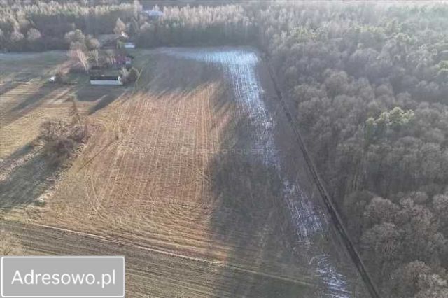 Działka budowlana Kaznów-Kolonia. Zdjęcie 1