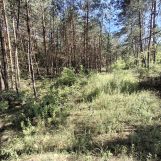 Działka inna Ostrowiec Świętokrzyski Koszary, ul. Bałtowska. Zdjęcie 1