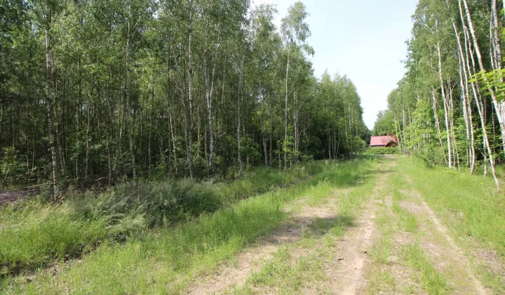 Działka rolna Gójszcz