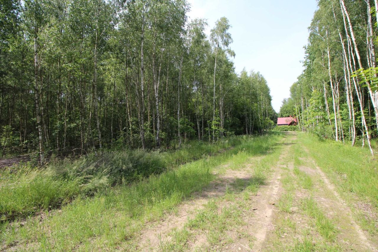 Działka rolna Gójszcz