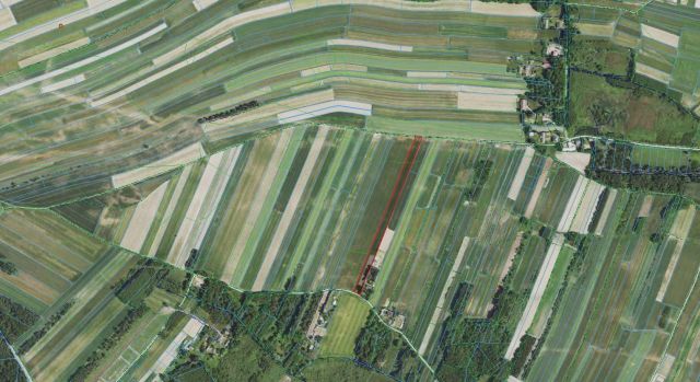 Działka rolno-budowlana Głowaczowa. Zdjęcie 1