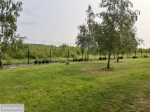 Działka budowlana Kalonka. Zdjęcie 1