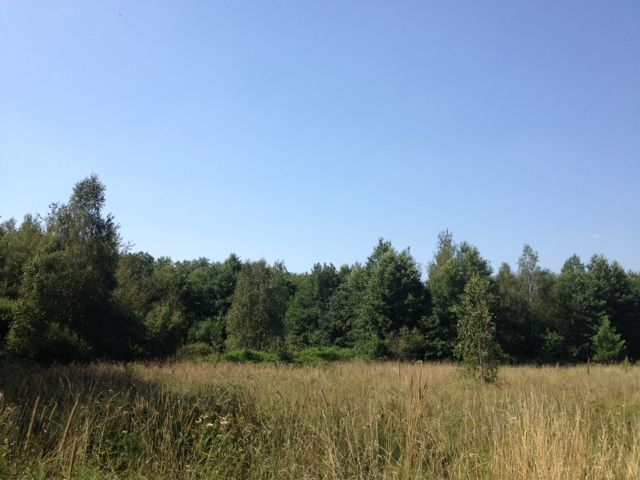 Działka budowlana Helenów. Zdjęcie 7