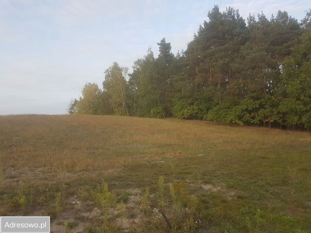 Działka budowlana Jeziora. Zdjęcie 1