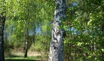 Działka budowlana Zawieprzyce-Kolonia