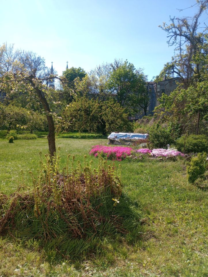 Mieszkanie 2-pokojowe Sosnowiec Pogoń, ul. Floriańska. Zdjęcie 10
