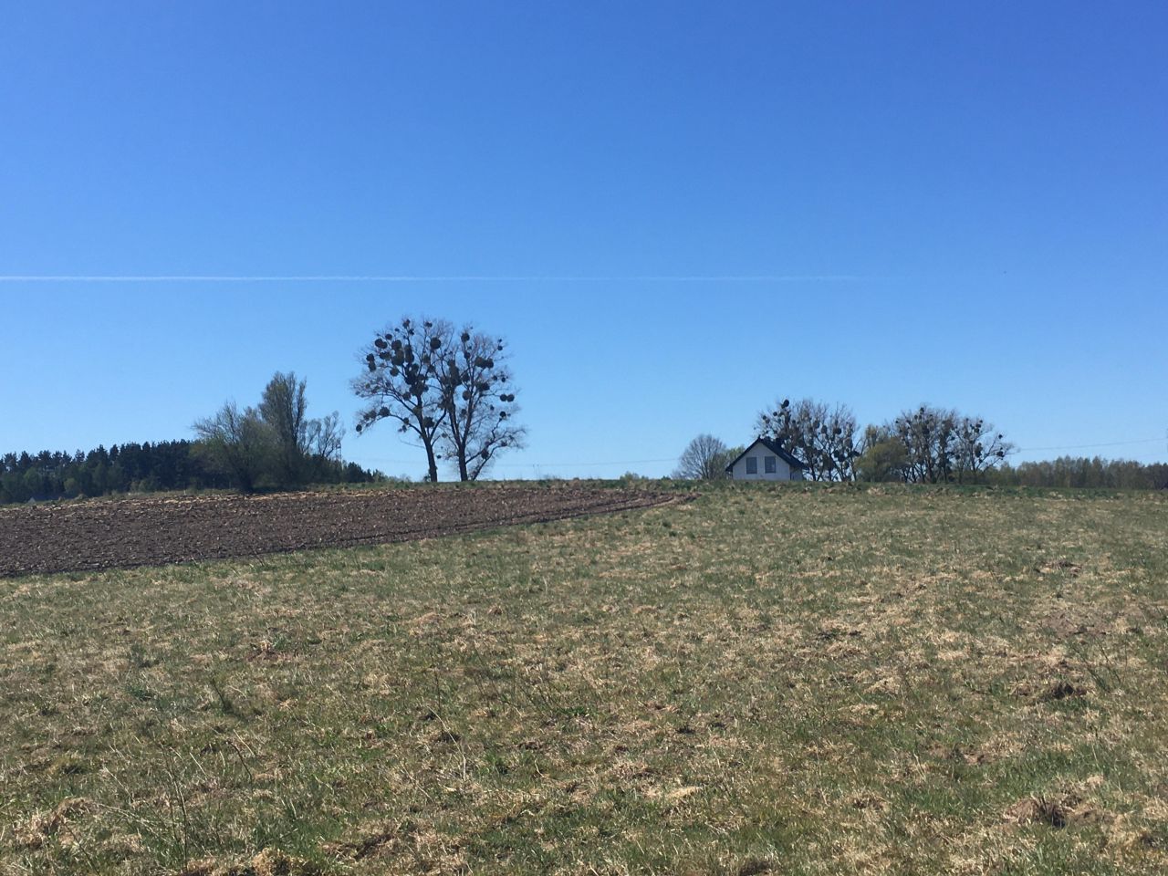 Działka budowlana Sulmin, ul. Gralathów. Zdjęcie 10