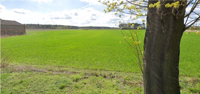 Działka budowlana Skoraszewice, Skoraszewice 2. Zdjęcie 1