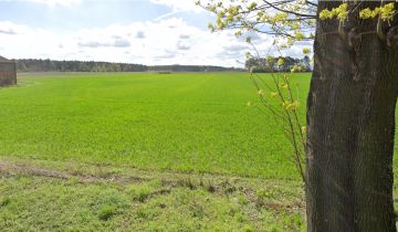 Działka budowlana Skoraszewice, Skoraszewice 2