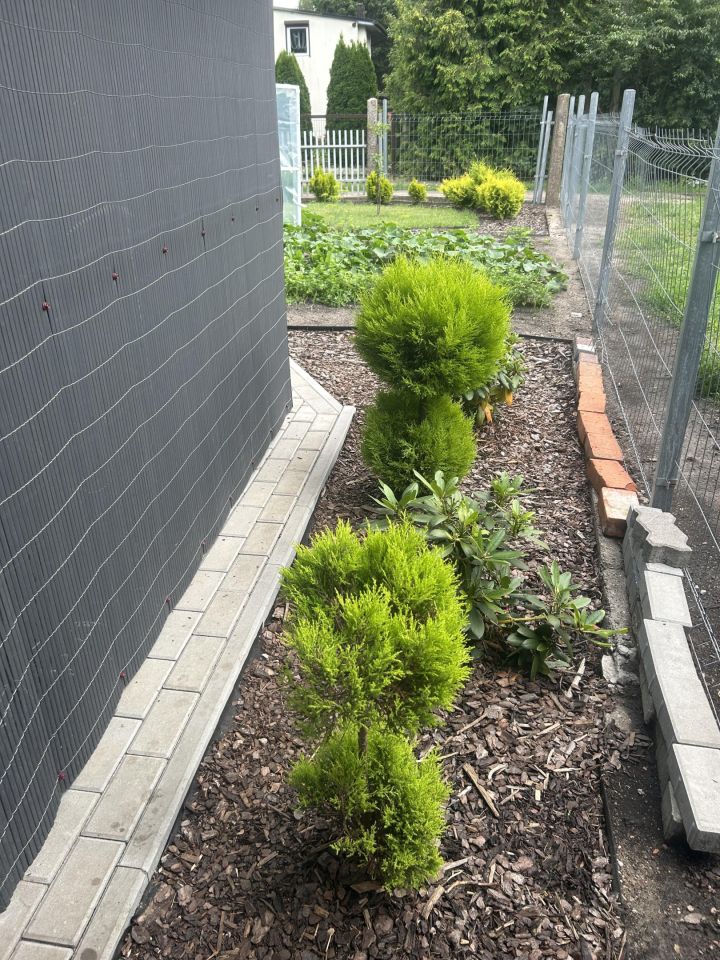 Działka rod Bydgoszcz Czyżkówko. Zdjęcie 11