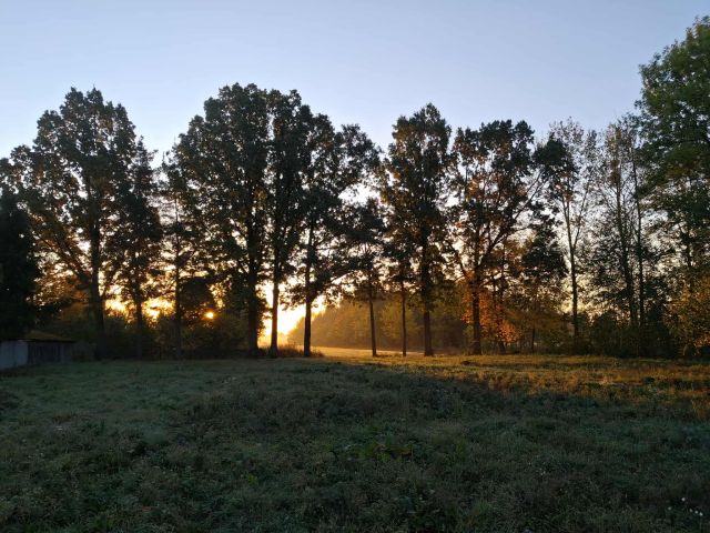 Działka rolno-budowlana Wygoda. Zdjęcie 1