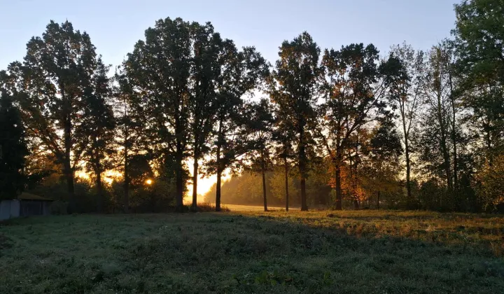 Działka rolno-budowlana Wygoda