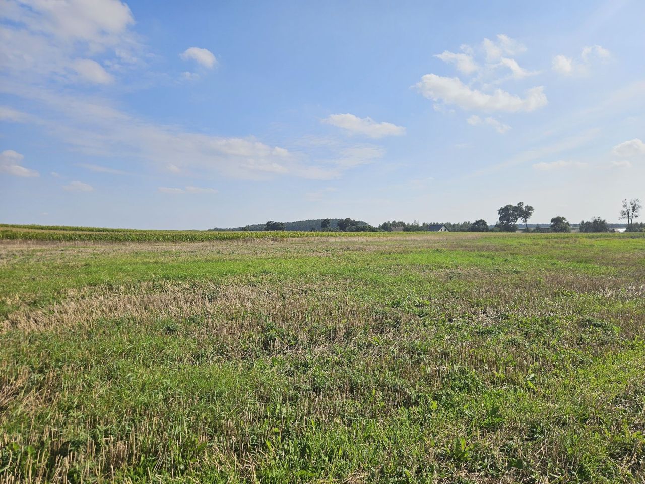 Działka rolno-budowlana Smogorzewo. Zdjęcie 7