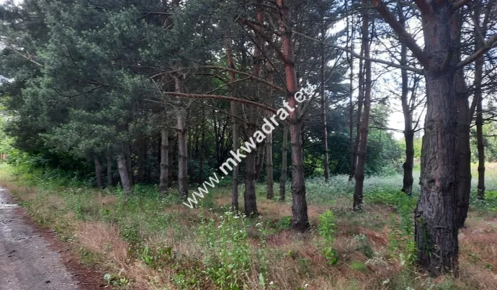 Działka budowlana Kady