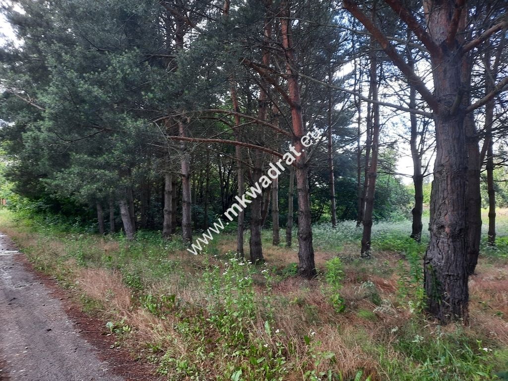 Działka budowlana Kady. Zdjęcie 1